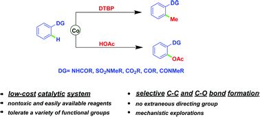 Cobalt Catalyzed Regioselective CH Methylation Acetoxylation Of