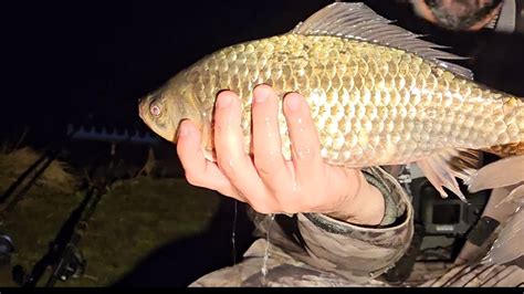 Pescuit La Feeder Pe Timp De Noapte Pe Barajul De La Varsolt Am Prins