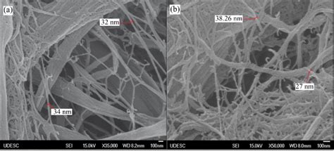 Nanocellulose Morphology Obtained By Sem With A Magnification Of A