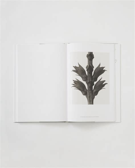 Karl Blossfeldt Masterworks E Store 08book