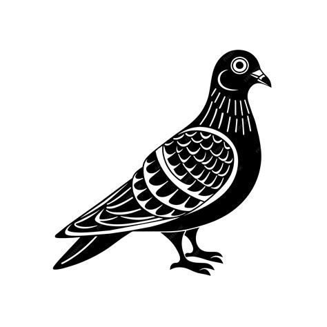 Premium Vector Pigeon Graphic Vector Eps