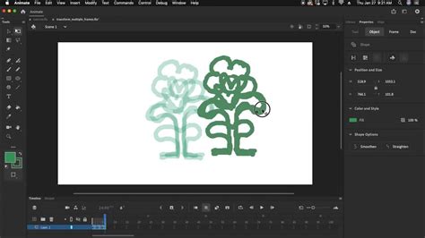 How To Edit Multiple Frames In Adobe Animate Youtube