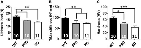 Pko Mice Show Characteristic Rtt Like Bone Phenotypes Three Point