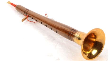 shehnai indian musical instruments