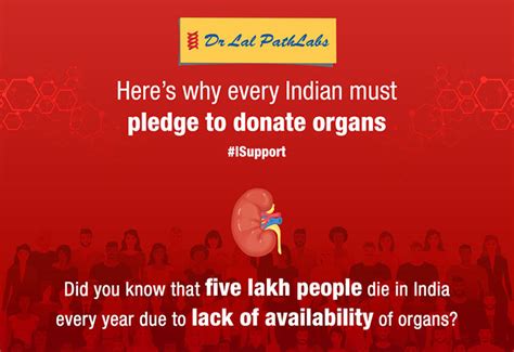 Organ Donation Importance Advantages And Benefits Of Organ Donation