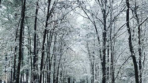 Viewers share pictures of Mississippi winter wonderland