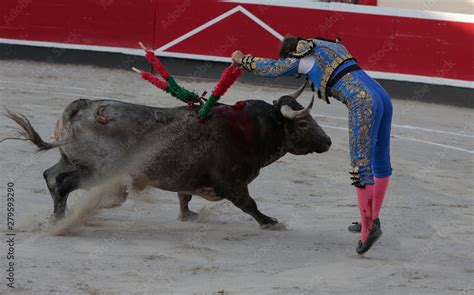 torero toreando un toro en plaza de toros Stock Photo | Adobe Stock