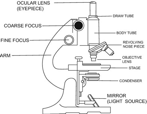 Microscope And Its Uses In Biology Lab Labtex Bangladesh