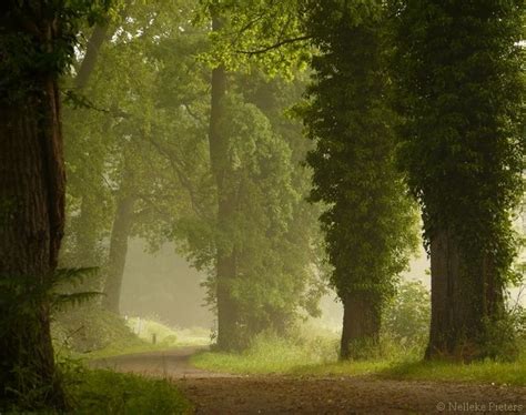 Rural By Nelleke Pieters Nature View Amazing Nature Photography