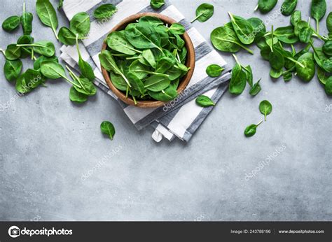 Baby Spinach Leaves Bowl Grey Concrete Background Top View Copy Stock