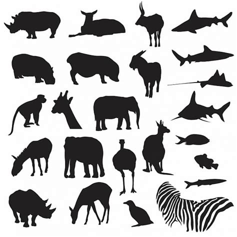 zoo animal silhouette for your personal or commercial design | download ...