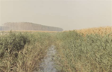 Luigi Ghirri Il Profilo Delle Nuvole Orthoslogos Fr