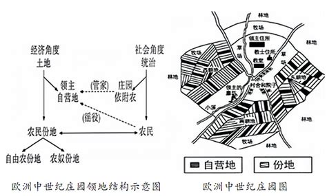 阅读材料，完成下列要求。（12分） 材料一 在中世纪，所有的 试题信息