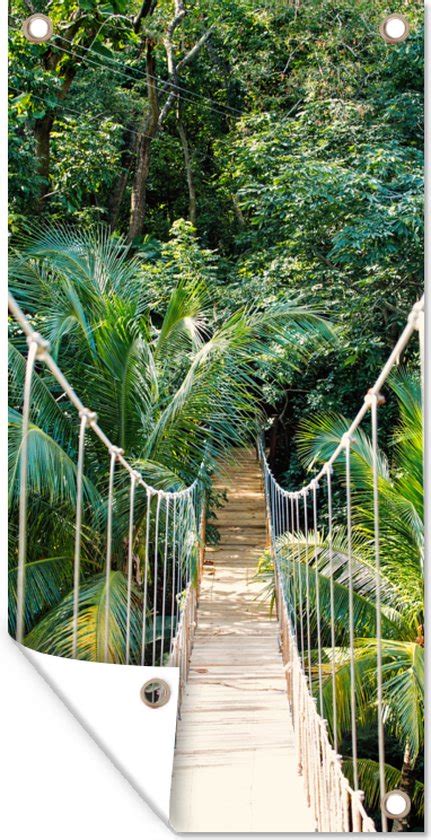 Wanddecoratie Buiten Jungle Palmboom Brug Natuur Planten