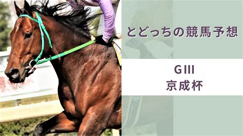 【京成杯】2024年 過去データと競馬予想 とどっちの競馬予想 うまうまチャレンジ