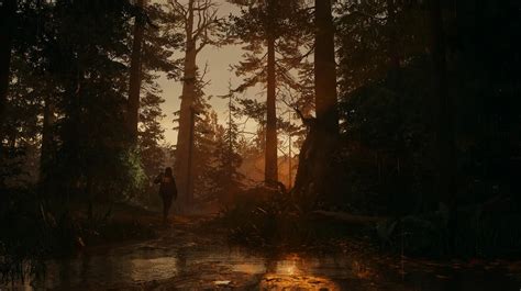 Alan Wake Tutte Le Caratteristiche Delle Tecnologie Nvidia Con