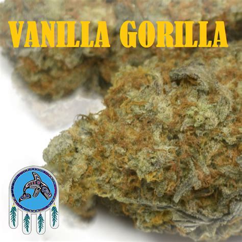 Buy Vanilla Gorilla Weed Strain In Canada At Salish Trails