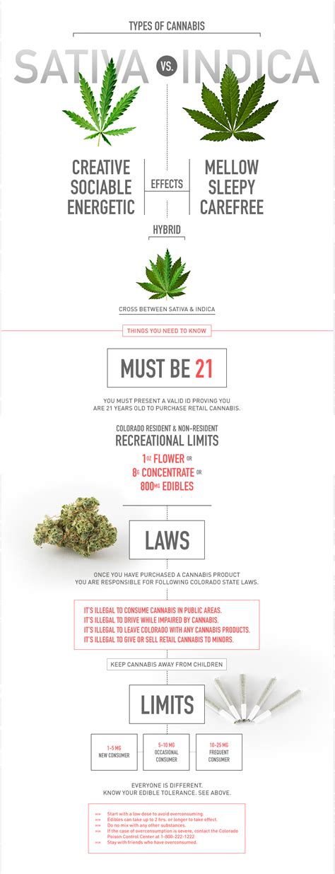 Colorado’s Recreational Marijuana Laws | New Mexico Marijuana News and Info