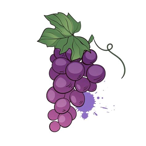 Racimo De Uvas Moradas Con Hoja Ilustración Dibujada A Mano En Estilo Plano De Dibujos Animados