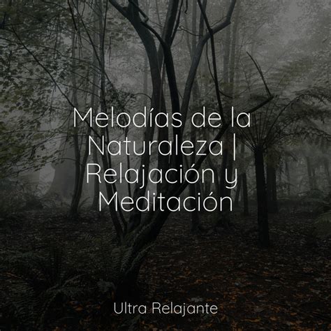 Melodías de la Naturaleza Relajación y Meditación Album by Música