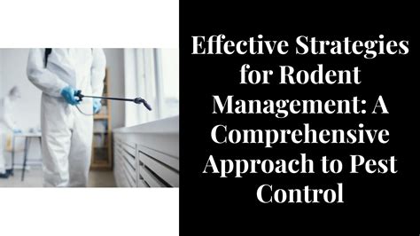 Effective Strategies For Rodent Management A Comprehensive Approach To