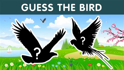 Guess The Bird Quiz Birds Names And Sounds Youtube