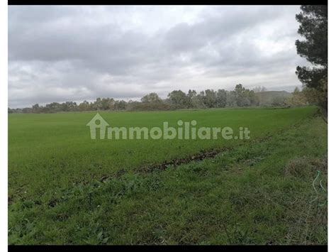 Terreno Agricolo Via Braccianese Claudia Tronco 2 Bracciano Rif