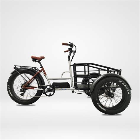 Electric Cargo Trike Electric Heavy Duty Industrial Three Wheel Bikes