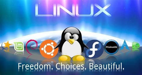 5 Valid Reasons Why Hackers Use Linux Operating Systems And Not Others