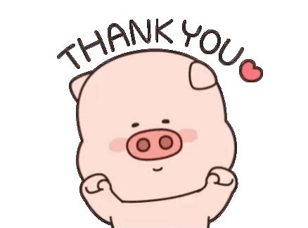 Cute Thank You Pig Cartoon