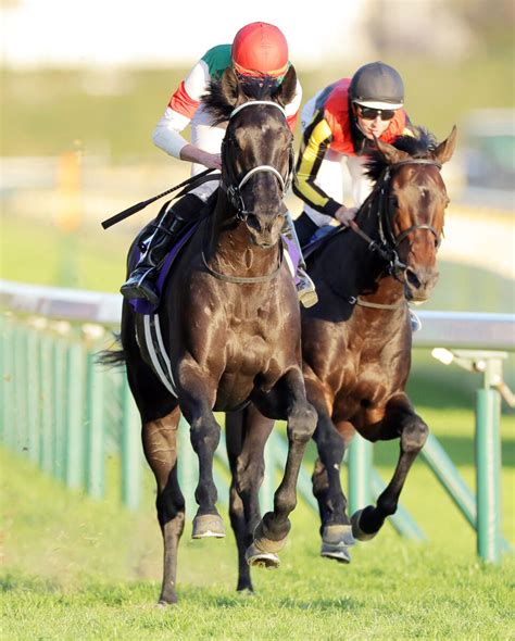 【注目馬動向】ジャパンc制覇のヴェラアズール、松山との再コンビで有馬記念へ Umatoku 馬トク