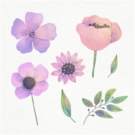 Conjunto De Flores De Acuarela Pintadas A Mano Vector Premium