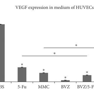 Effect Of 5 Fluorouracil 5 Fu Mitomycin C MMC Bevacizumab BVZ