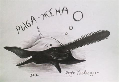 Рыба пила рисунок (39 фото)