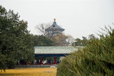 Beijing: Temple of Heaven Admission Ticket or Tour | GetYourGuide