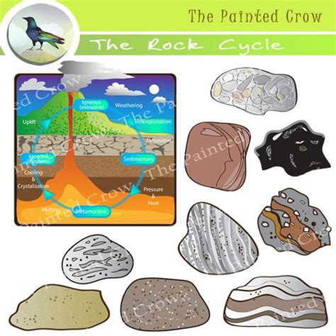 Rock Cycle Types Of Rocks Clipart Igneous Metamorphic Sedimentary