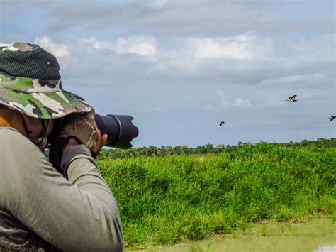 Siete Consejos Para Iniciarse En La Observación De Aves