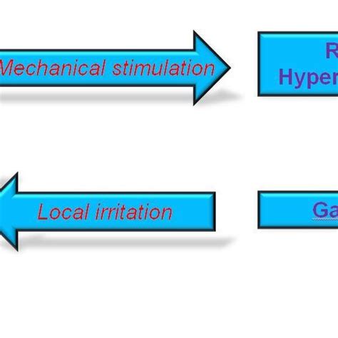 Ultrasound examination of a galactocele | Download Scientific Diagram