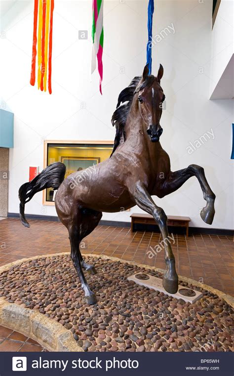 Horse Museum Kentucky Stock Photos & Horse Museum Kentucky Stock Images ...