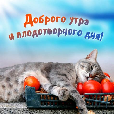Утро доброе новые картинки с пожеланиями красивые (40 фото) | Giffs.ru