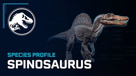 Species Profile Spinosaurus Youtube