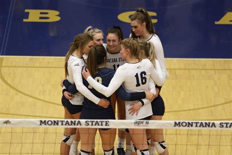 Bobcat Volleyball Building To Win In Postseason Bobcats Volleyball