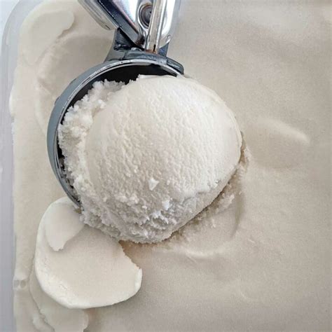 Coconut Milk Ice Cream – Culinary Shades