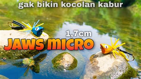 Cara Membuat Jaws Frog Mini Micro 1 7cm Upluk Upluk YouTube