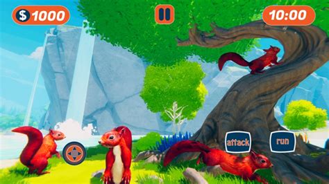 Squirrel Simulator Forest Game by Muhammad Usman