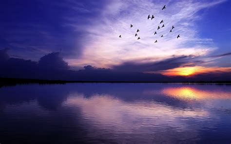 Wallpaper Sunlight Birds Sunset Sea Lake Nature Reflection Sky