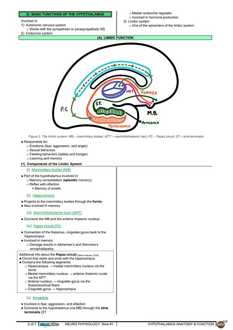 Solution Neurology Physiology Hypothalamus Anatomy Function