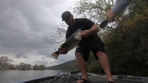 Pre Spawn Bass Fishing Austin Tx Youtube