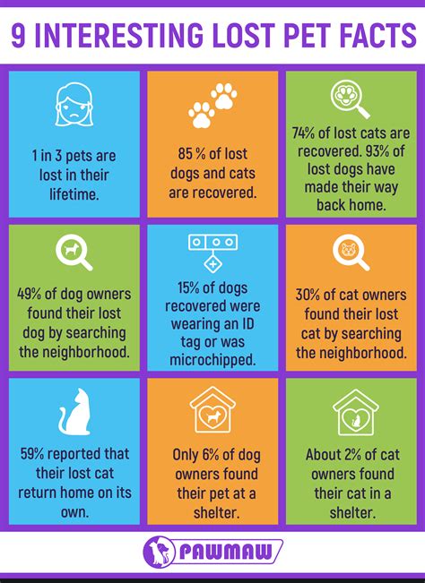 åœ°åœ– updates are changing how local residents find their way home 14