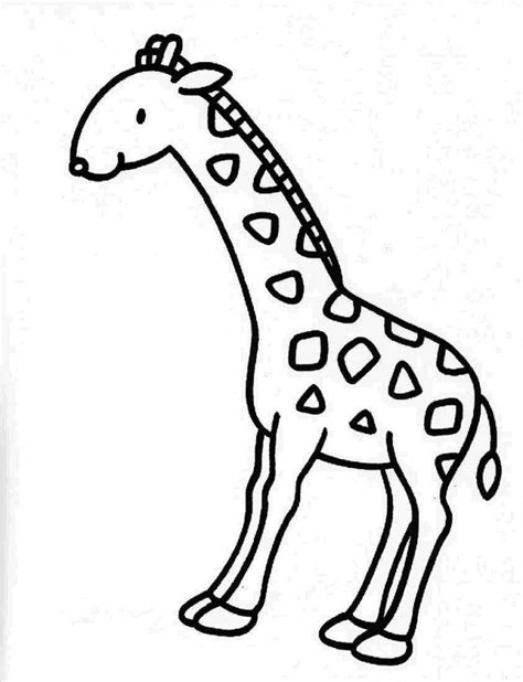 Coloriage Girafe Madagascar